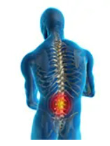 Low Back Pain Logo