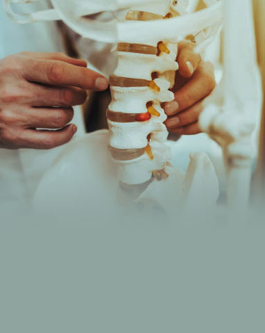 Demineralized Bone Matrix in Spine Surgery